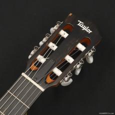 Taylor 112ce-N_4