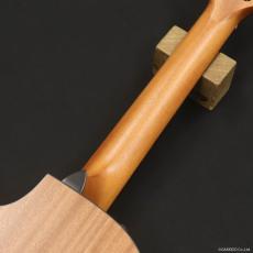 Taylor 112ce-N_7