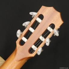 Taylor 112ce-N_8