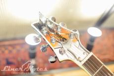 Silvertone 2004 PS-SN5 Paul Stanley Sovereign Model (Cracked Mirror)_7