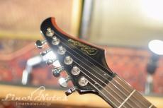 Silvertone PS-AP2 "Paul Stanley" (Liquid Black)_7