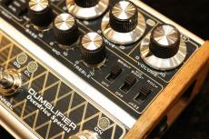 DSM&HUMBOLDT ELECTRONICS DUMBLIFIER ダンブル系2チャンネルプリアンプ オーバードライブ DI【送料無料】【即納可能】_6