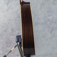 Collings D2HA Adirondack Spruce 2007_5