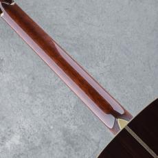Collings D2HA Adirondack Spruce 2007_7
