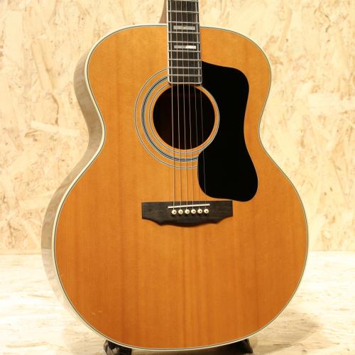 Guild F-50R 1975