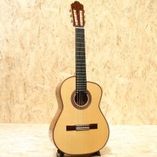 CHAI YUKINOBU No:30 Alto Guitar 2014_3