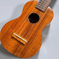 Famous FS-5G　　【4弦LowG交換品】