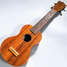 Famous FS-5G　　【4弦LowG交換品】_2