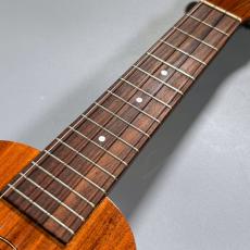 Famous FS-5G　　【4弦LowG交換品】_3
