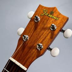 Famous FS-5G　　【4弦LowG交換品】_4