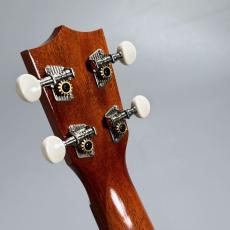 Famous FS-5G　　【4弦LowG交換品】_5