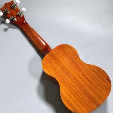 Famous FS-5G　　【4弦LowG交換品】_6