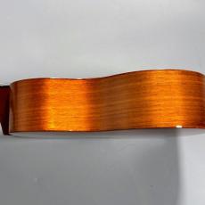 Famous FS-5G　　【4弦LowG交換品】_7