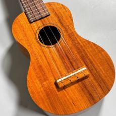 Famous FS-5G　　【4弦LowG交換品】_8
