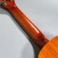 Famous FS-5G　　【4弦LowG交換品】_9
