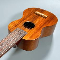 Famous FS-5G　　【4弦LowG交換品】_10