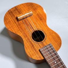 Famous FS-5G　　【4弦LowG交換品】_11