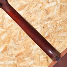 Martin DM 1996_7