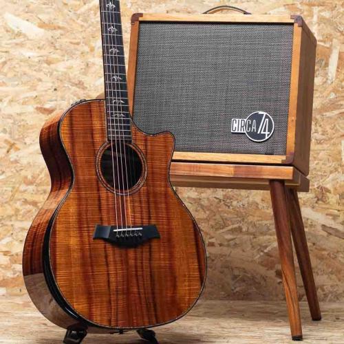 Taylor 50th Anniversary 924ce-K LTD CIRCA 74 Amp Set