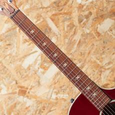 Taylor C24ce B5038_6