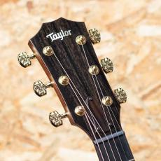 Taylor C14ce Aviator Grand Auditorium Custom_8