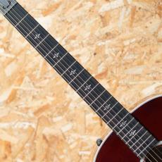 Taylor 417e-R SB_6