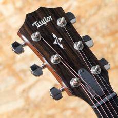 Taylor 417e-R SB_8