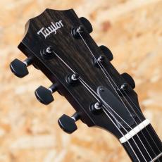 Taylor T5z Classic - Koa Shaded Edgeburst_8