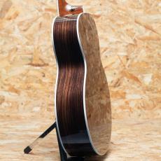 Taylor Legacy 815e_5