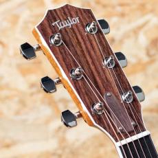 Taylor Legacy 815e_8