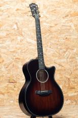 Taylor Builder's Edition 324ce_3