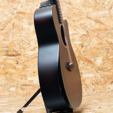 Taylor Builder's Edition 324ce_4
