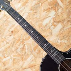 Taylor Builder's Edition 324ce_6