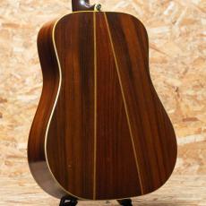Martin D-76 1976_2