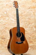Martin D-76 1976_3