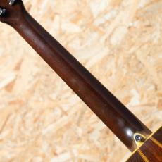 Martin D-76 1976_7