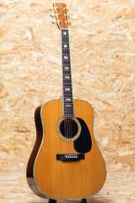 Martin D-45 1979_3