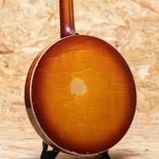 VEGA Earl Scruggs STII 1964-1970_2