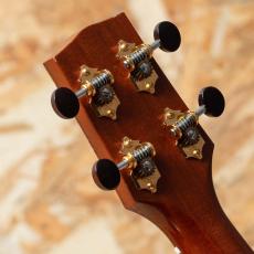Ko'olau CS Tenor_9