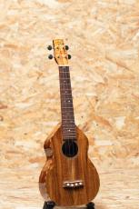 夢弦堂 Koa Concert 2008_3