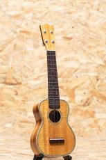 ASTURIAS ROC-KK/LTD Soprano 2014_3