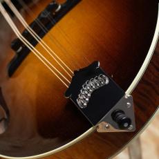 Collings MF5_10