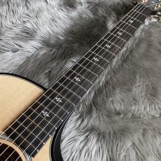 Taylor 50th Anniversary Builder's Edition 314ce LTD【現物画像】【最大36回分割無金利キャンペーン実施中】_9