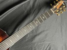 Taylor 224ce-K DLX_5