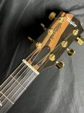 Taylor 224ce-K DLX_6