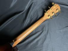 Taylor 224ce-K DLX_9