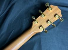 Taylor 224ce-K DLX_10