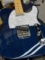 Tokai ATE-102/M IB_8