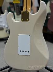 Tokai AST-101G STWR【カタログ外モデル】_7