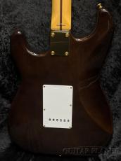 Tokai AST-101G STBR【カタログ外モデル】_3